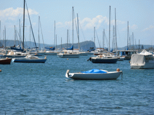News and ideas for Pittwater